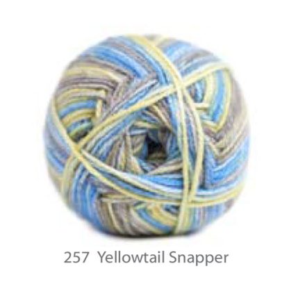 Charity Double Knit - Yellowtail Snapper